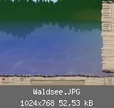 Waldsee.JPG