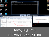 Java_Bug.PNG
