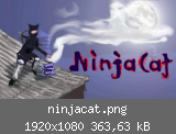 ninjacat.png