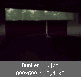 Bunker 1.jpg