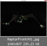 RaptorFront001.jpg