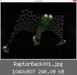RaptorBack001.jpg